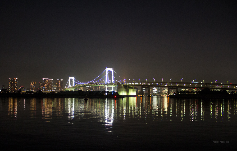 Zuri_Zuberi_Tokyo_by_night_5