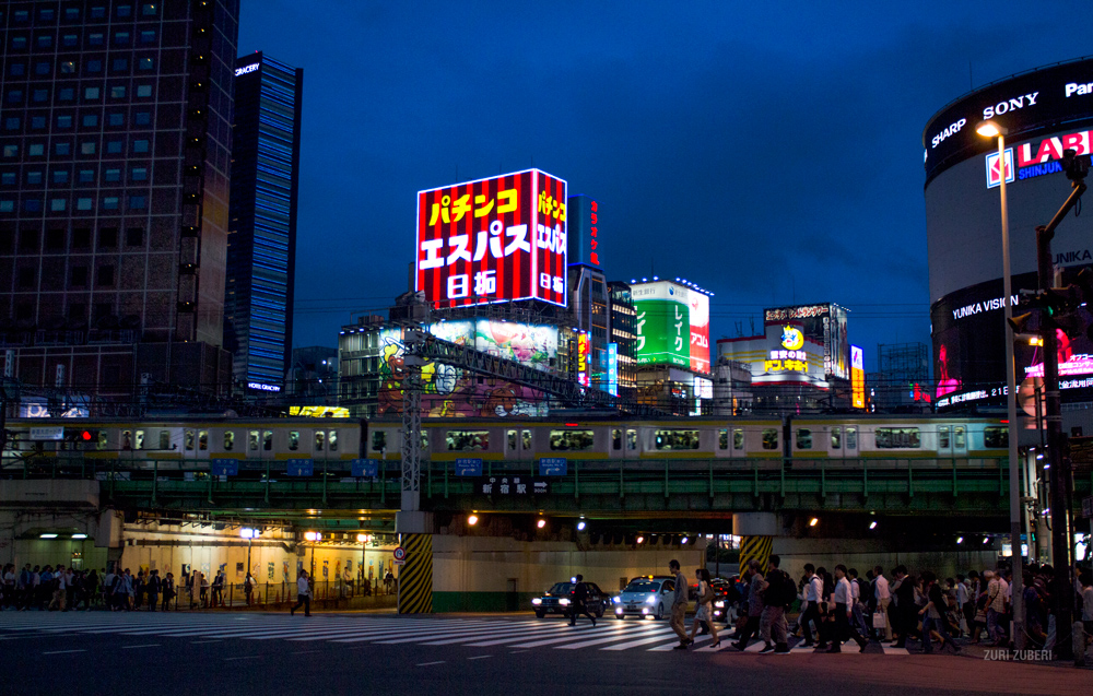 Zuri_Zuberi_Tokyo_by_night_6
